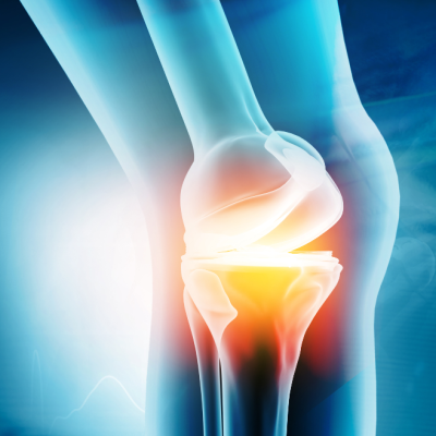 knee cartilage